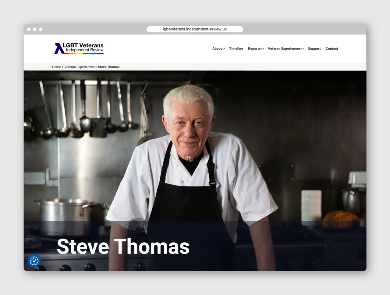 Image of the website created for the LGBT Veterans Independent Review.